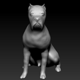 cane-cooror.png Cane Corso seated