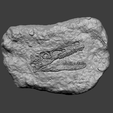 vf1.png Velociraptor Face Mineral Fossile - Realistic Printable Resin