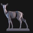 01.png Deer