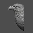 15.jpg Eagle