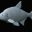 Bream-fish-22.png fish Common bream / Abramis brama solo model detailed texture for 3d printing