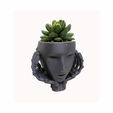 robot-web2.jpg robot face pot