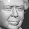 15.jpg Queen Elizabeth II bust 3D printing ready stl obj