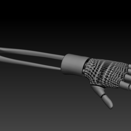 Articulated Hand Model 3D model