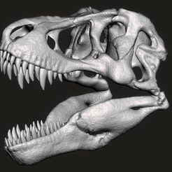 t-rex skull.jpg T rex crâne