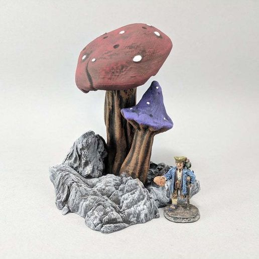 IMG_20190108_125705.jpg Гигантские грибы