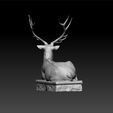 ddd4.jpg Deer statue - deer decorative - deer decoration