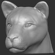 14.jpg Lioness head for 3D printing
