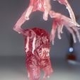 Swampling.9.foto.jpeg 游泳胫骨生物