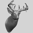 11_TDA0615_Deer_HeadA08.png Hirschkopf
