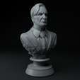 8.png Breaking Bad Complete Premium 3D Bust Pack STL