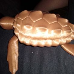 Loggerhead Sea Turtle (poseable)
