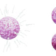 Ovum_Render_2.png Human Fertilization of Sperm and Egg cell (Ovum)