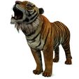 04U.jpg TIGER - DOWNLOAD TIGER 3d model - animated for blender-fbx-unity-maya-unreal-c4d-3ds max - 3D printing TIGER FELINE - CAT - PREDATOR