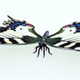 002.jpg DOWNLOAD BUTTERFLY 3D MODEL - ANIMATED - MAYA - BLENDER 3 - 3DS MAX - UNITY - UNREAL - CINEMA 4D - 3D PRINTING - OBJ - FBX - 3D PROJECT CREATE AND GAME READY BUTTERFLY - DRAGON