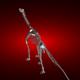 Atlasaurus-skeleton-render-3.png Atlasaurus