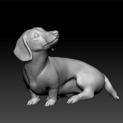 Z111.jpg Dog - Dachshund Dog breed - cute dog -toy for kids