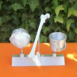 marceau.jpg STL file an actress?・3D printable design to download