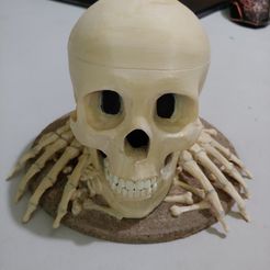 20200622_165501.jpg Free 3D file Skull Dice Holder with screw on top・Template to download and 3D print