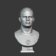 untitled12png.png Erling Haaland 3D bust for printing