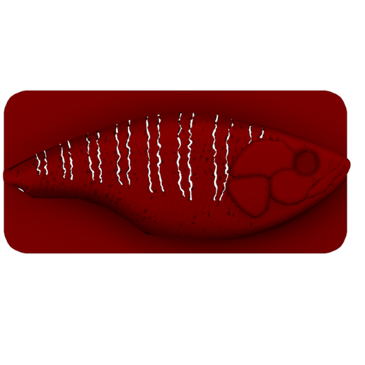 6th sense fishing mystery box 6th Sense Jig Bait Chamber – Fits 40 Swim & Finesse Jigs main image 1