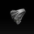 da23d21as2df4w5e6r5werf54.jpg Кольцо для сцепления черепов 3D печать модели