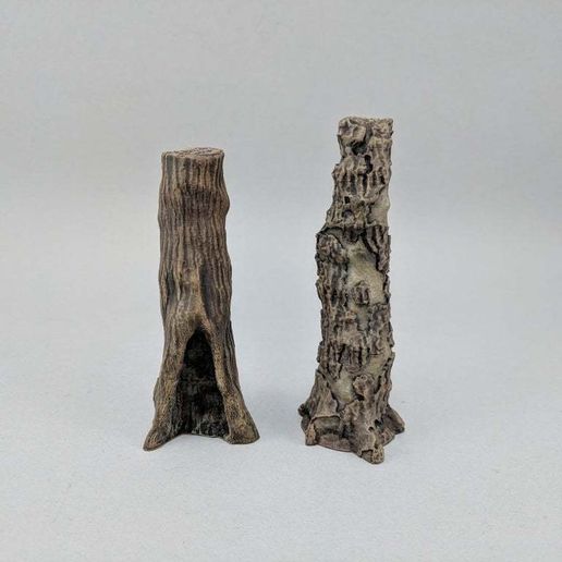 IMG_20180911_093345.jpg Árvores T4P