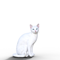 Chat.png Free OBJ file The cat・3D printing model to download