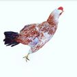 IIII.jpg CHICKEN - DOWNLOAD CHICKEN 3d Model - animated for Blender-Fbx-Unity-Maya-Unreal-C4d-3ds Max - AND 3D Printing HEN HEN CHICKEN hen, chicken, fowl, coward, sissy, funk -BIRD -  POKÉMON - GARDEN