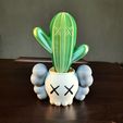 20230302_232227.jpg Kaws planter with cactus (divided by color)