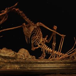 CrocoDragon-5.jpg Dragon Skeleton Diorama