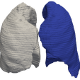 1.png 3D Model of Human Lungs - generated from real patient