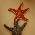 flexi-starfish-7.jpg flexi SEA STARFISH