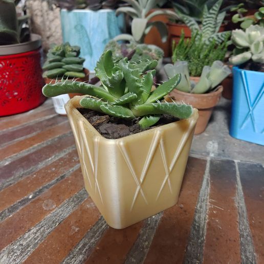 Square flower pot 1 3D model