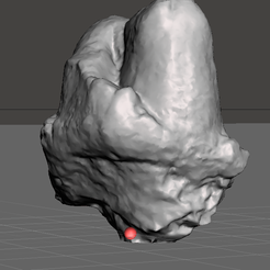 Screenshot-15.png Fichier OBJ Dent de mastodonte・Objet imprimable en 3D à télécharger