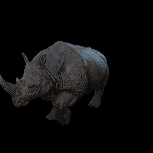4846-POLY.jpg Rhino Walk ANIMATED