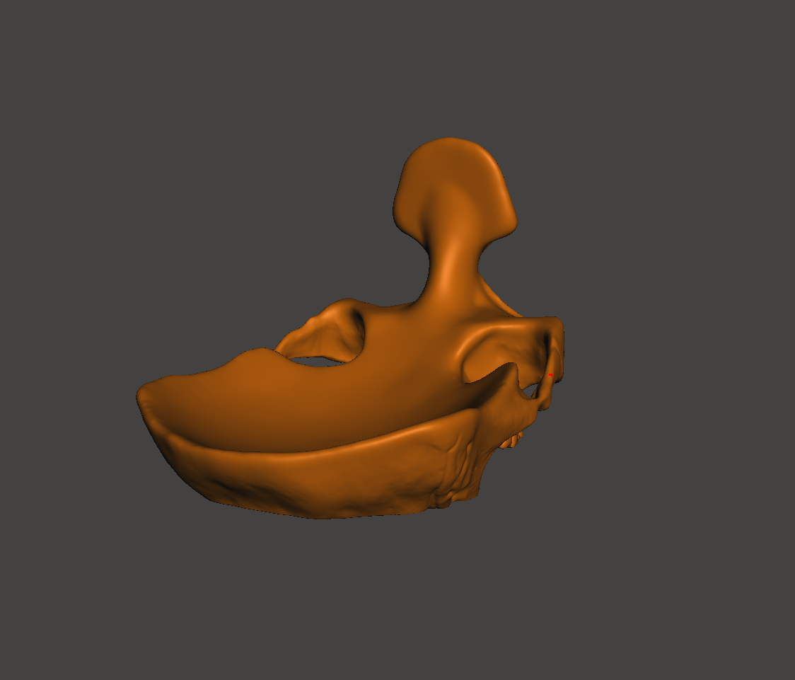 Captura12.png STL file Skull Glasses Stand Holder・3D printing model to download, 3Dimension3d