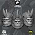 1.png SERIE RHINO TAS