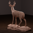 deer-back-png.png Archivo 3D Ciervo de cola blanca・Diseño imprimible en 3D para descargar