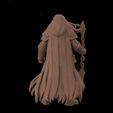 untitled.1430.jpg Dwarf Warrior King Thorin - 3D Model - Miniature