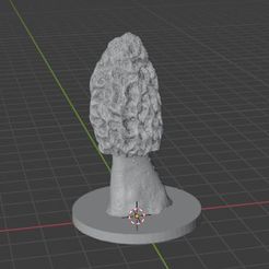 _SQ_F26-morel11.jpg Fichier STL Morel #9・Design pour impression 3D à télécharger