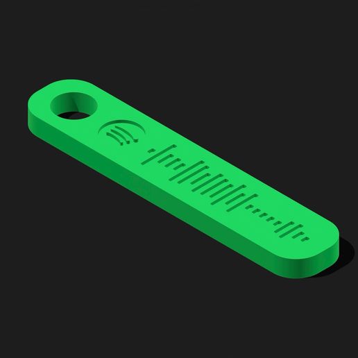 IMG_2661.jpeg spotify keychain