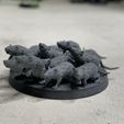 IMG_1555.jpg Free STL file Ravenous Rodent Swarms・Object to download and to 3D print