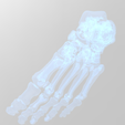 Screenshot-2024-04-04-150703.png Human left foot