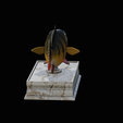 Peacock-Bass-statue-box-1-2-7.png fish Peacock bass (Cichla ocellaris) fish in motion base box for 3D printing