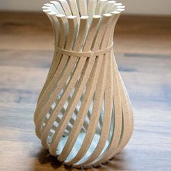 WeirdVase_Print_04.jpg Download free STL file Weird Twisty Vase • 3D printable object, GeekyFayeArt