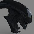 2.jpg Alien Xenomorph Bust 3D Print Stl Model Diorama
