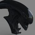 2.jpg Alien Xenomorph Büste 3D Druck Stl Modell Diorama