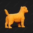 3077-Cairn_Terrier_Pose_01.jpg Cairn Terrier Dog 3D Print Model Pose 01