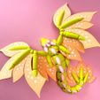 tinymakery-articulated-flexi-blossom-dragon5.jpg blossom dragon — articulated flexi print-in-place fidget fantasy creature